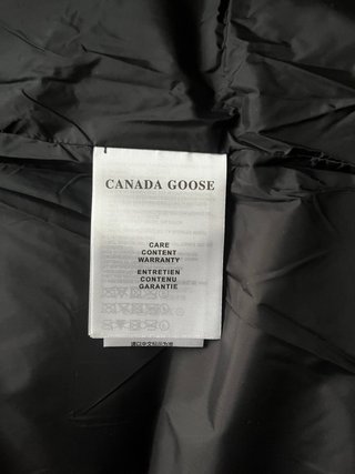 Smanicato Canada Goose