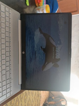 Portátil HP Plata