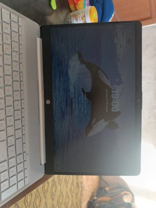 Portátil HP Plata
