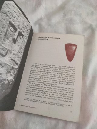 La arqueólogo prehistórica