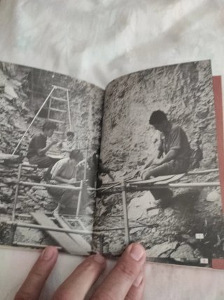 La arqueólogo prehistórica