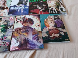 Lote 14 mangas novedades