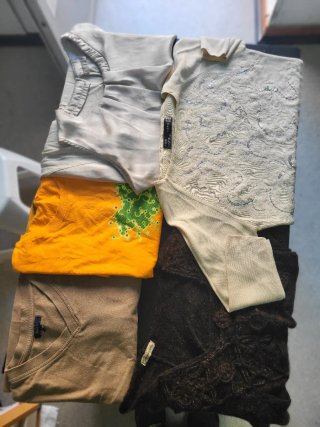 Lote 5 prendas mujer talla M