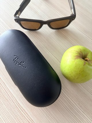 Ray-Ban Wayfarer Stories Marroni