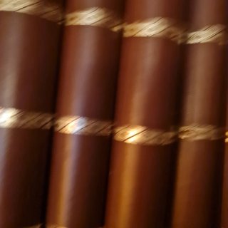 Collezione Libri Illustrati Antichi