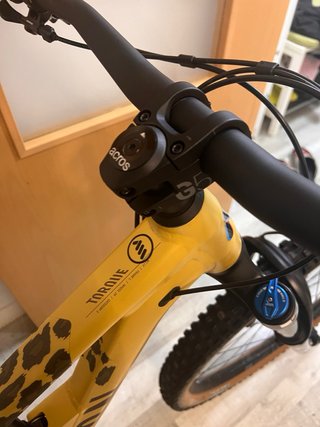 Bicicleta Enduro Canyon Torque AL 6 Taglia L