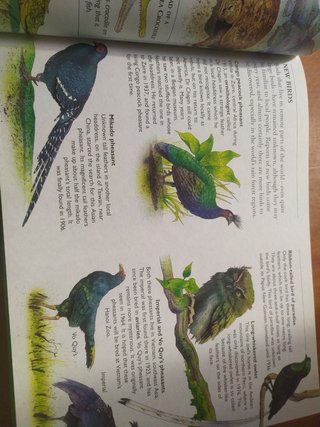 The Ladybird Discovery Encyclopedia of the Natu...
