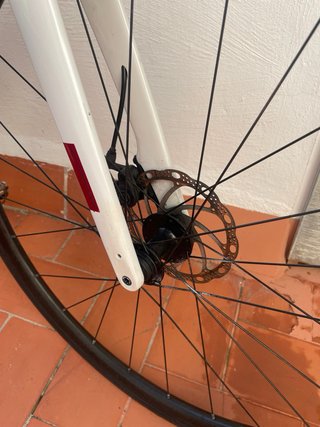 Bici da Strada Trek Domane Bianca