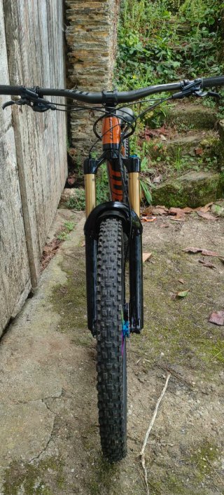 Giant Reign Pro Advanced 29 Enduro (Negociable)
