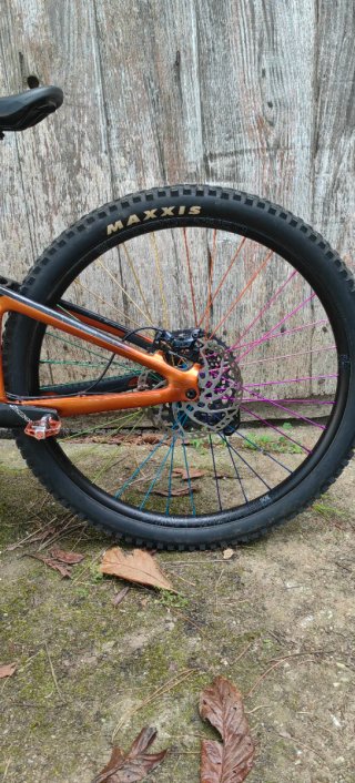 Giant Reign Pro Advanced 29 Enduro (Negociable)