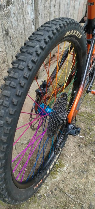 Giant Reign Pro Advanced 29 Enduro (Negociable)