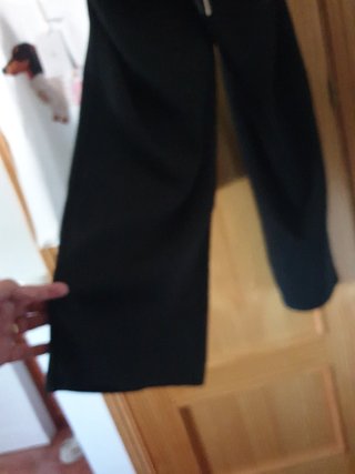 Conjunto Blusa y Pantalón Perro Dachshund