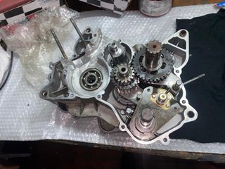 Motor AM6 con 88BRK