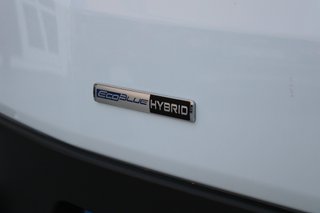 Ford Transit 350 125kW L2H2 Van Trend FWD