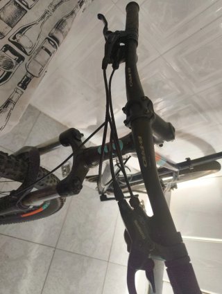 Bicicleta R29