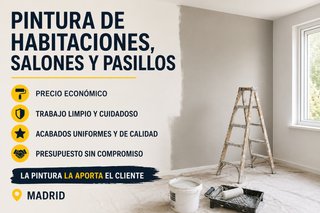 Pinto habitaciones, salones y pasillos
