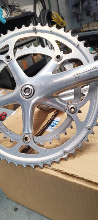 Bielas Campagnolo Chorus 172.5mm 53/39