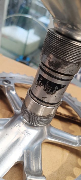 Bielas Campagnolo Chorus 172.5mm 53/39