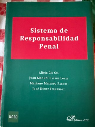 Libro responsabilidad penal