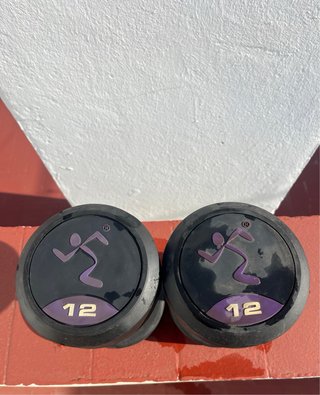 Mancuernas 12 Kg