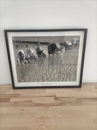 Coppia di quadri fotografici in bianco e nero