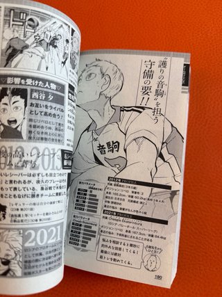 Haikyuu!! Final Guidebook Fanbook manga anime