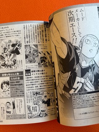 Haikyuu!! Final Guidebook Fanbook manga anime
