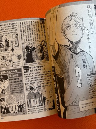Haikyuu!! Final Guidebook Fanbook manga anime