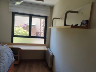 Cama juvenil con 4 cajones y nido + escritorio