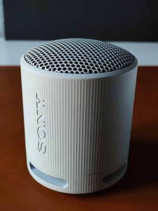 Altavoz Sony SRS-XB100 Blanco
