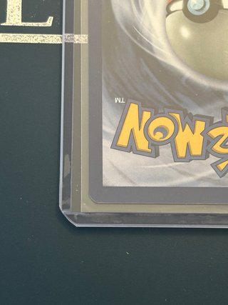 Pokemon Seel 1a Edición Español
