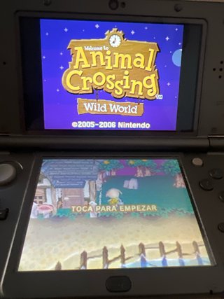 Animal Crossing Wild World DS