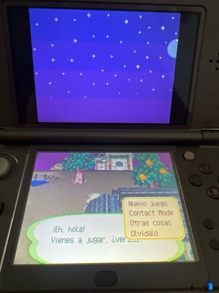 Animal Crossing Wild World DS