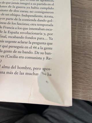 Azucena de noche