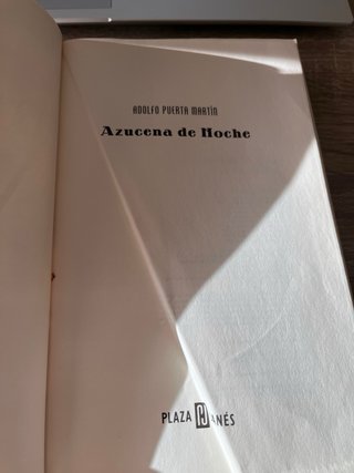 Azucena de noche