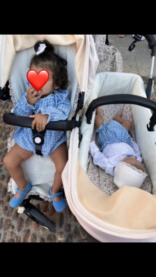 Carro Bugaboo Doble 2 Sillas + Capazo