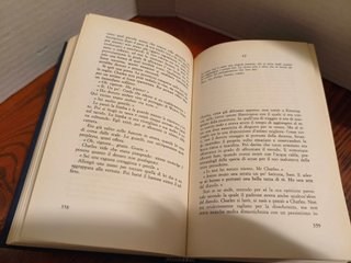La donna del tenente francese