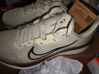 Nike Quest 6 Beige/Oro