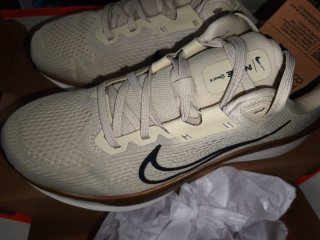 Nike Quest 6 Beige/Oro