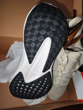 Nike Quest 6 Beige/Oro