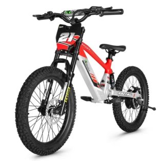 Bicicleta eléctrica Ziz Racing EOS20 - NUEVO