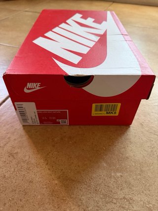Nike Dunk Next Nature