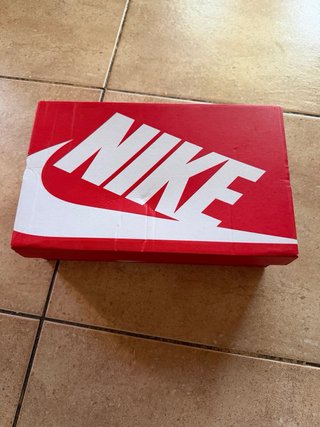 Nike Dunk Next Nature