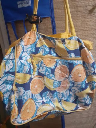 Bolso de playa con naranjas y limones