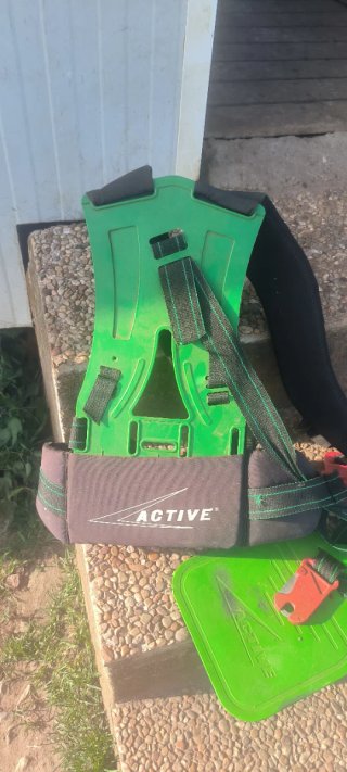 Desbrozadora Active 5.5BT 3 CV Profesional