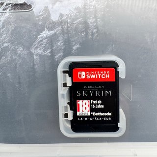 The Elder Scrolls V: Skyrim Nintendo Switch