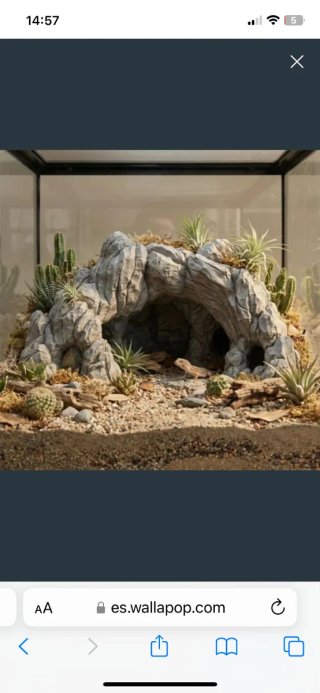Conjunto piezas terrario gris y verde