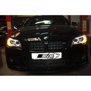 Faros delanteros Bi Xenon BMW Serie 5 F10