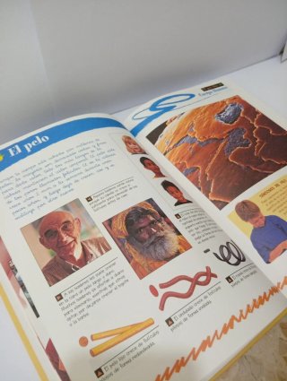 Libros Cuerpo Humano