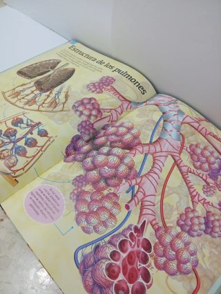 Libros Cuerpo Humano